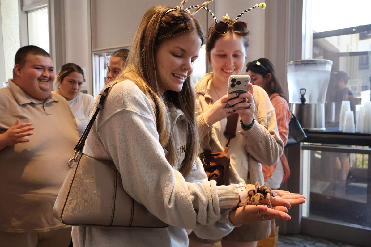 An attendee takes pictures of her friend holding a tarantula at the inaugural Bugtopia expo at the DoubleTree Hotel in Sacramento on Saturday.